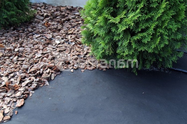 აგრობოჭკო შავი 60გრ./მ.2 3,2x10 მ სბქ+