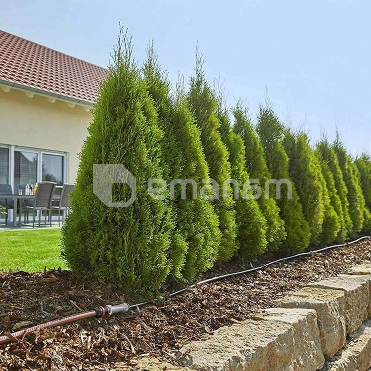 შლანგი წვეთოვანი Gardena 13013-20 1/2" 50 მ