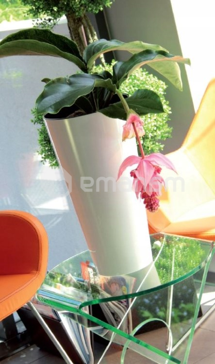 პლასტმასის ქოთანი Prosperplast DTUSS S449