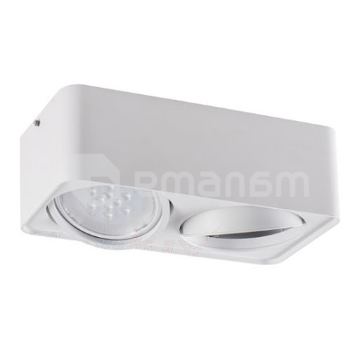 სანათი წერტილოვანი მბრუნავი Kanlux TUBEO ES 250-W GU10 2x MAX 25W