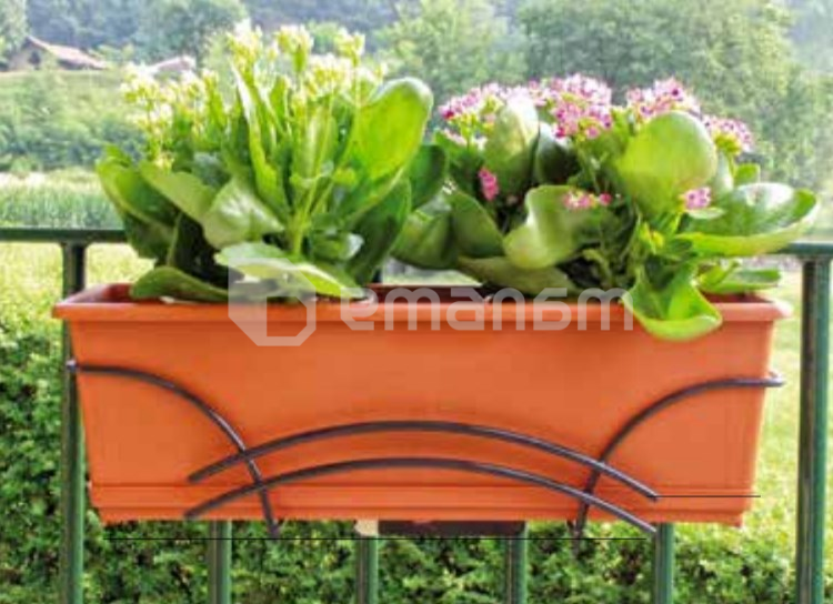 ყვავილების საკიდი Metallurgica Buzzi Melody for Balcony with self-watering box 50x15xh17  სმ