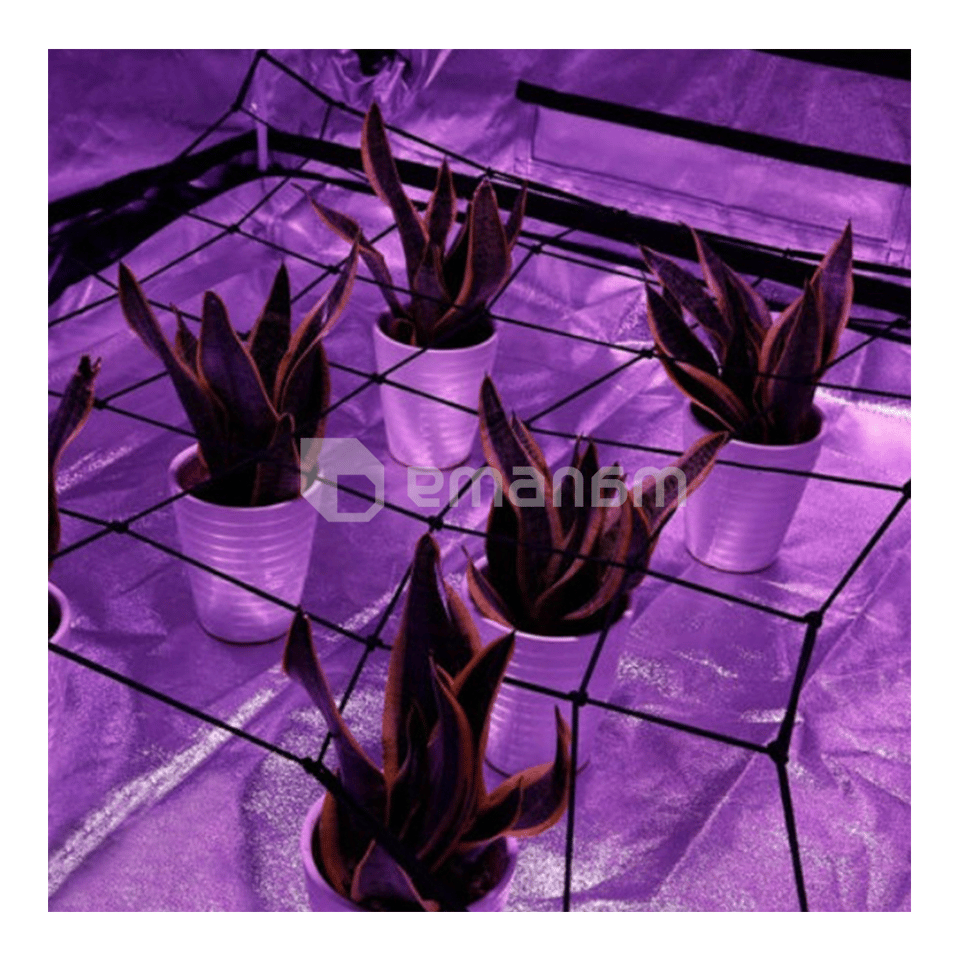 გასაბმელი ბადე GrowGrow 50x50სმ