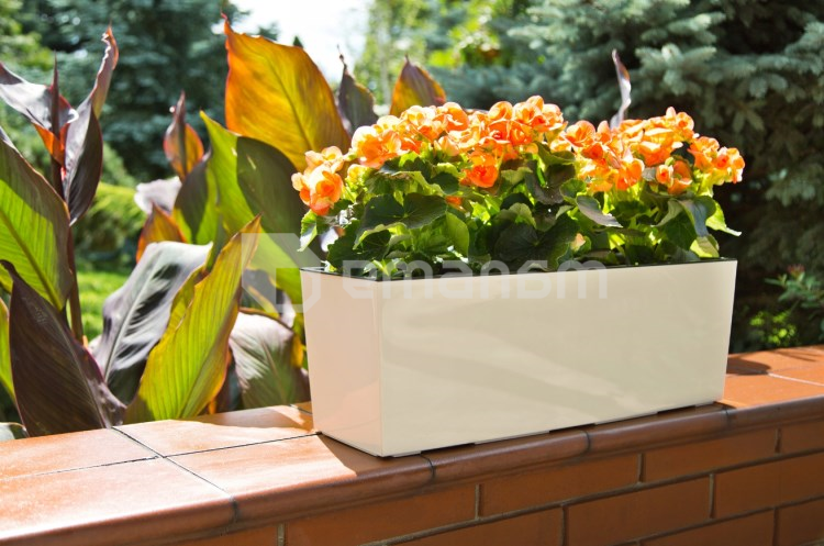 ქოთანი ყვავილის Lamela BEGONIA 19x56სმ 12ლ თეთრი