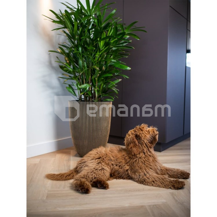 ქოთანი პლასტმასის Capi Europe Vase elegant low Groove NL 34х46სმ შავი-ოქროსფერი