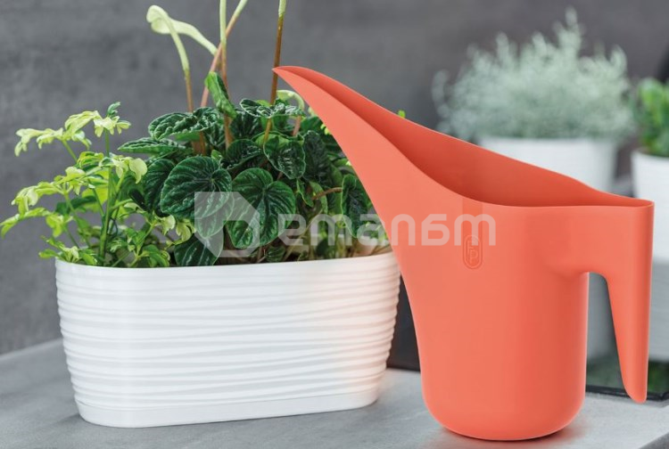 სარწყავი FORM PLASTIC Aruba 3200-056 ნესვი 1.2 ლ