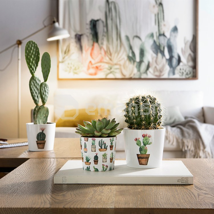 კერამიკული ქოთანი ყვავილებისთვის Scheurich 870/07 COVER-POT CACTUS GARDEN