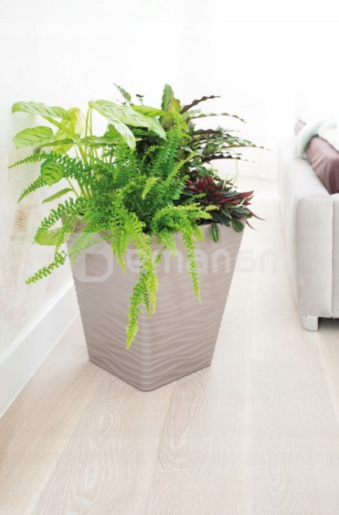 პლასტმასის ქოთანი ყვავილებისთვის FORM PLASTIC Sahara Dunes square 3920-051 Ø30 ბეჟი