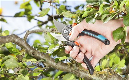 სეკატორი Gardena B/S-XL 8905-20 24 მმ