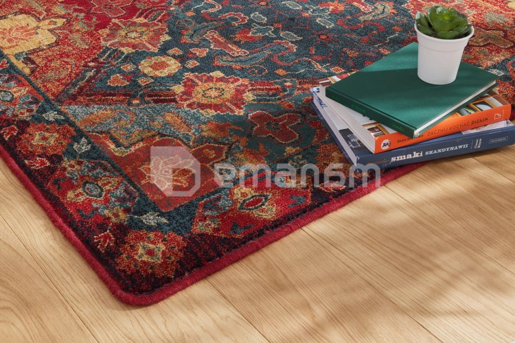 ხალიჩა Dywilan OMEGA TORINO RUBIN 2483 cC1 170x235 100% WOOL