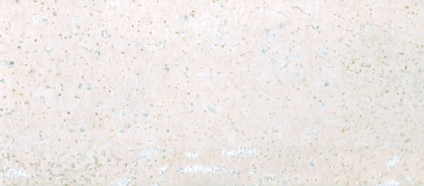 კორპის ფილები კედლის დეკორისთვის მოდელი 3386CWS