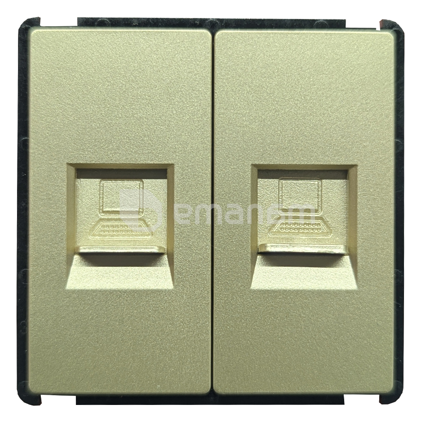 როზეტი Internet Socket 2 RJ45 ორ სექციური ოქროსფერი