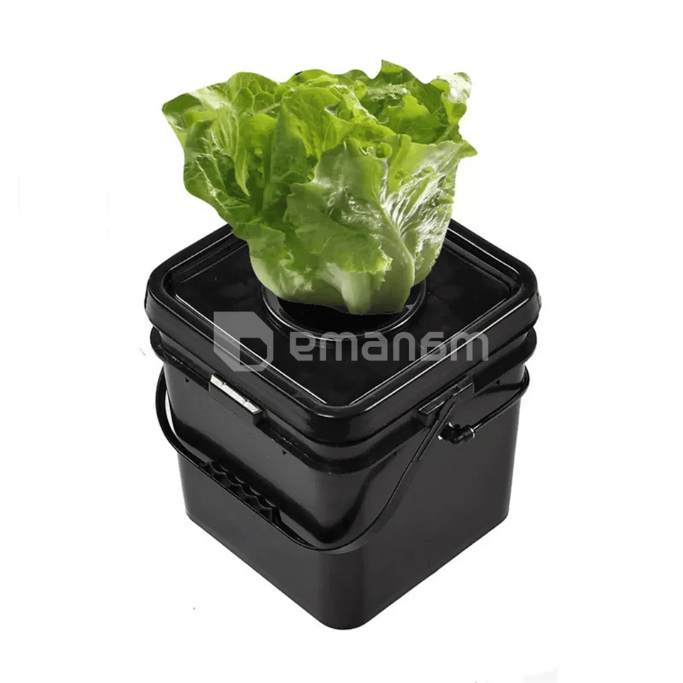 ჰიდროფონიკა DWC სისტემა GrowGrow 20ლ