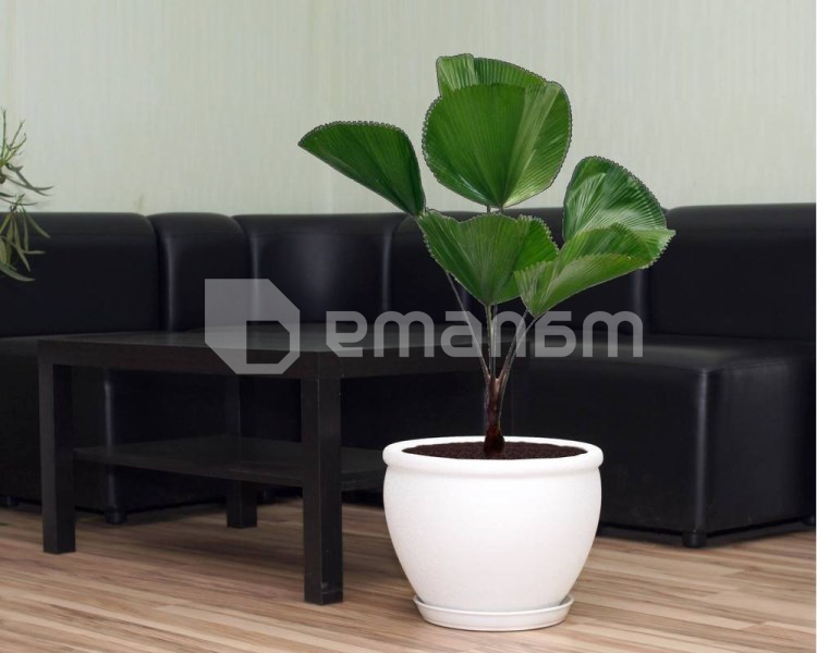 კერამიკული ქოთანი Vietnam №1 თეთრი აბრეშუმი