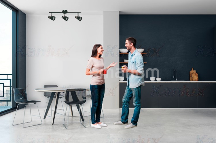 სანათი სპოტი Kanlux ENALI EL-4I B 4x max 35W