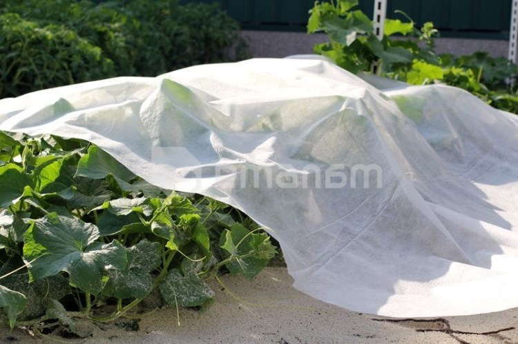 აგრობოჭკო თეთრი 17გრ./მ.2 1,6x10 მ სბქ+