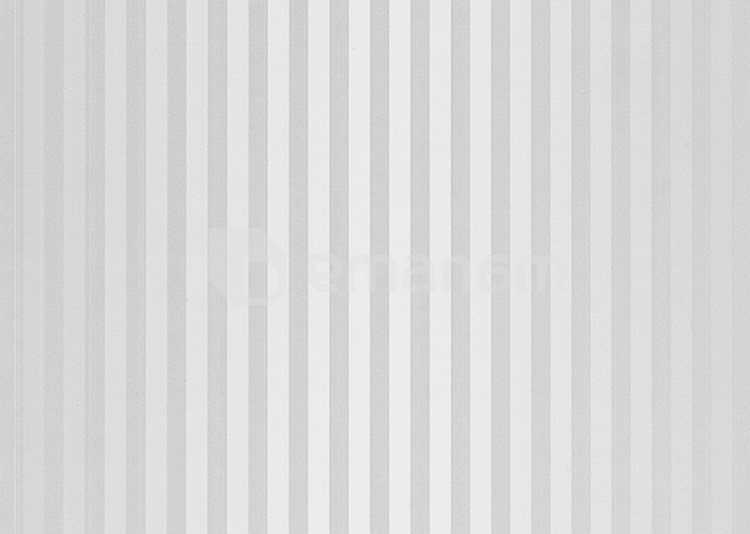 პანელი PVC VOX Profile Vilo D Silver Lines 25х265 сm