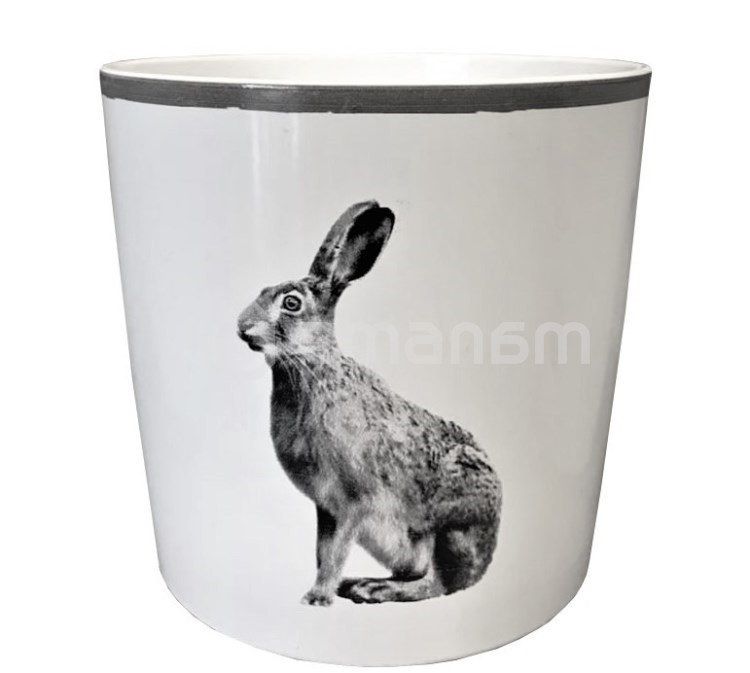 ქოთანი კერამიკული ყვავილის Scheurich 870/13 870/13 COVER-POT FAIRYTALE SORT