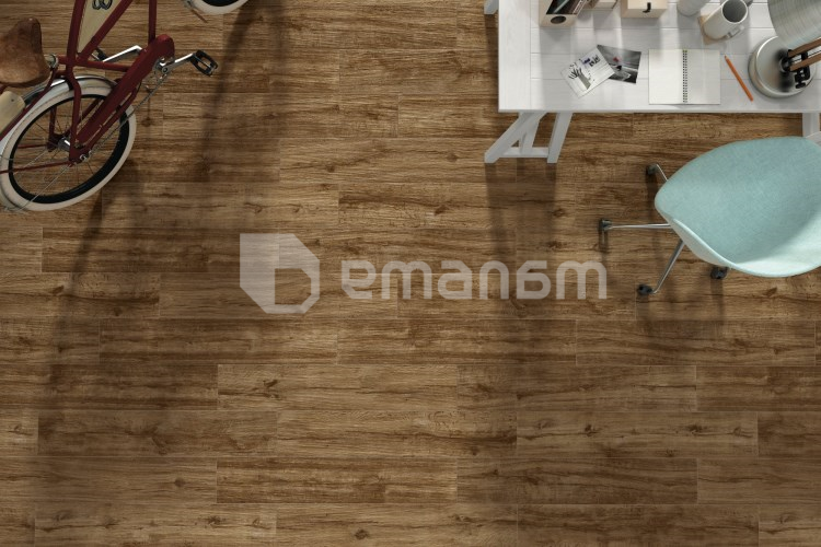 კერამოგრანიტი Emotion ceramics P WILD CAOBA PRI. 24X88