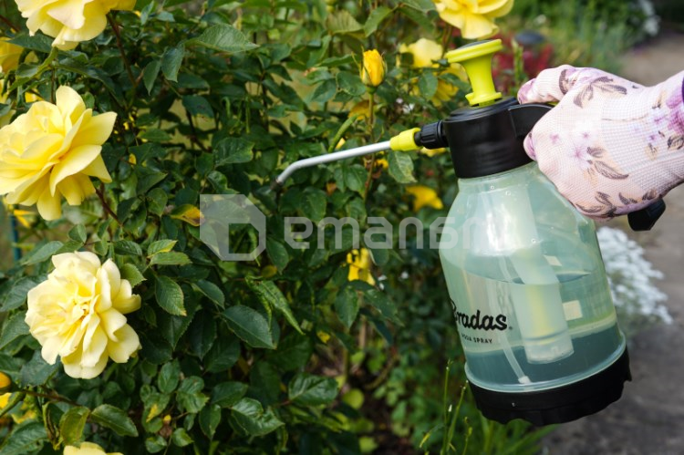 სასხურებელი პნევმატური, ხელის Bradas Aqua Spray Clear AS0150CL 1.5 ლ