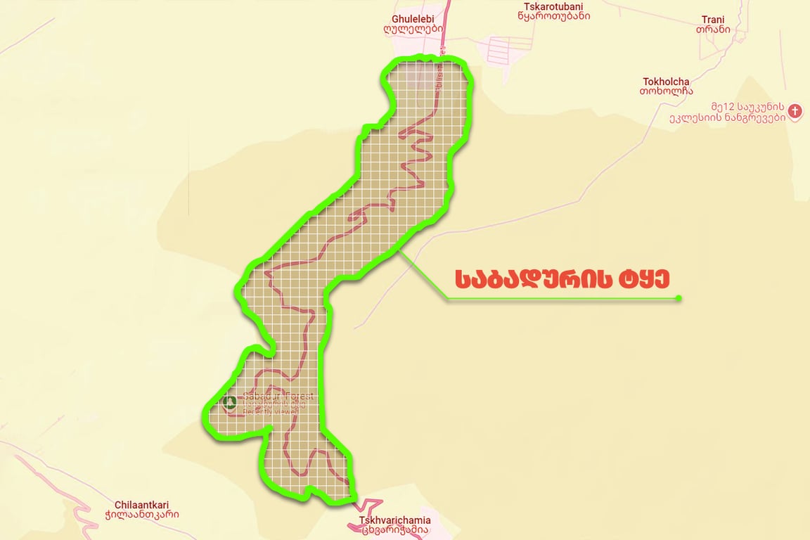 Cleaning of Sabaduri forest