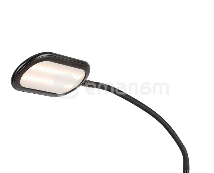 ტორშერი Rabalux Adelmo 10W 3000 6000K შავი თეთრი 74009