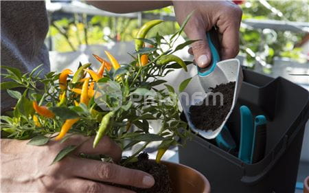 ბაღის ინსტრუმენტების ნაკრები Gardena 8970-20 6 ც