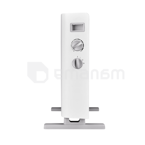 ელექტრო კონვექტორი Thermex Pronto 1500M White