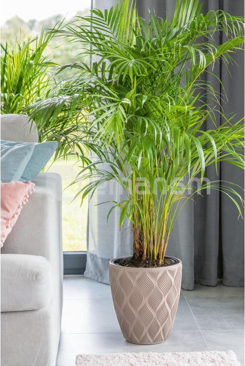 ქოთანი ყვავილის FORM PLASTIC Flow 40 taupe 4710-051
