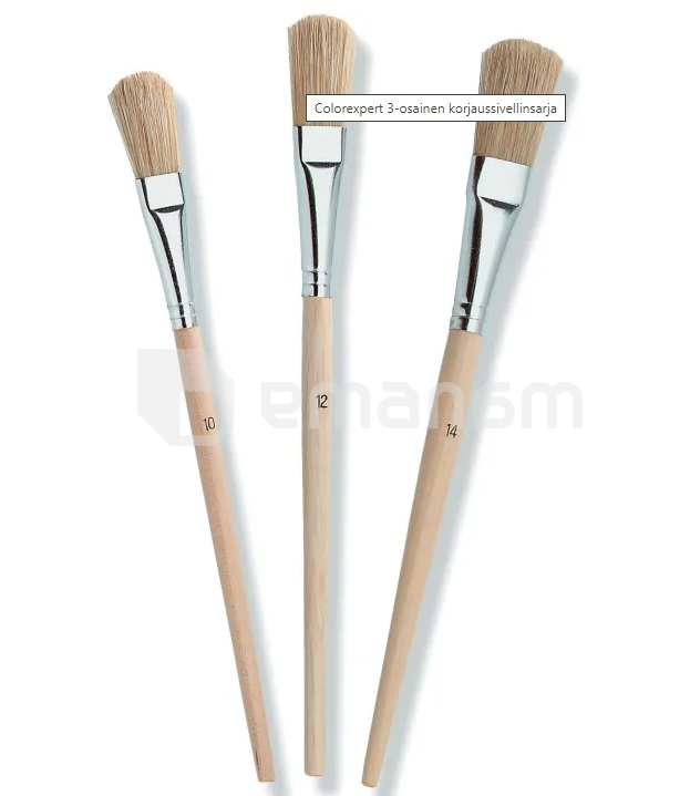 უნივერსალური ფუნჯების ნაკრები Color Expert 82610227 3 ც