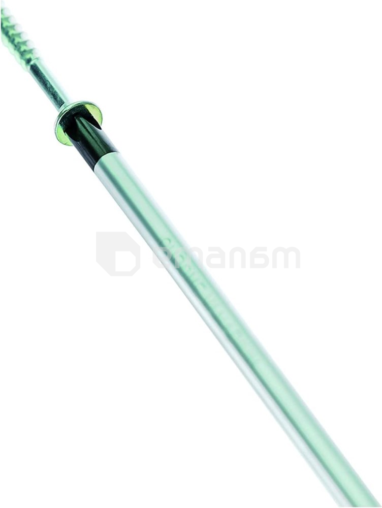 სახრახნისი Bosch 1600A01TG2 PH1x100