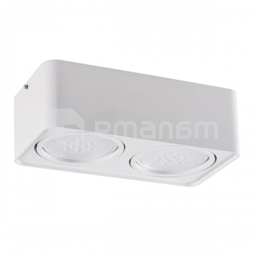 სანათი წერტილოვანი მბრუნავი Kanlux TUBEO ES 250-W GU10 2x MAX 25W