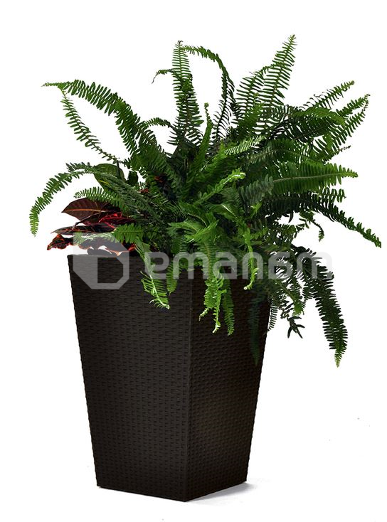 ყვავილის ქოთანი Keter როტანგი Medium Rattan Planter 55,4 ლ
