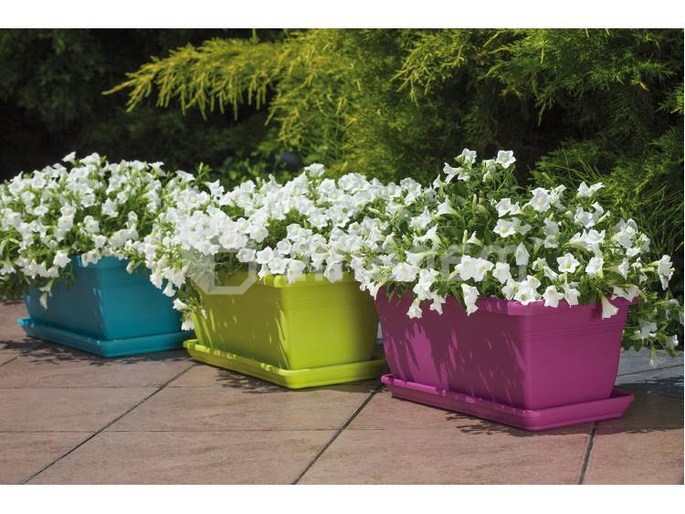 პლასტმასის ქოთანი ყვავილებისთვის FORM PLASTIC Box Gala 0385-042 Ø60 ფსტისფერი