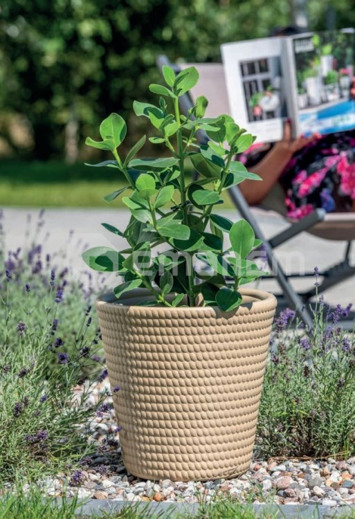 ქოთანი ყვავილის Form-Plastic Lina 30 soft jute