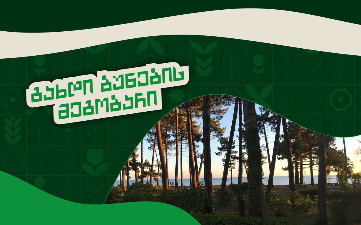 გრიგოლეთის ტყის დასუფთავების ღონისძიება