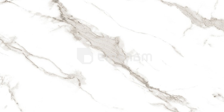 კერამოგრანიტი Raviraj Ermitage Statuario Grey 600x1200 მმ
