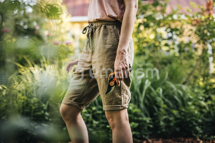 სეკატორი Fiskars Solid P321