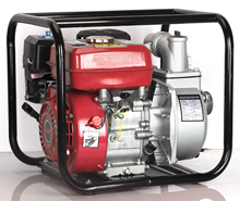 წყლის სატუმბი / EDON WP-20