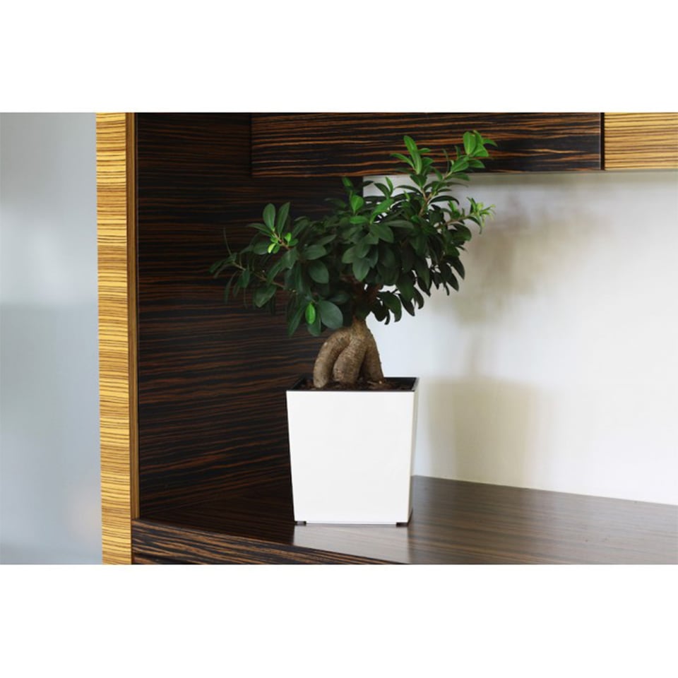 ქოთანი ყვავილის Lamela JUKA planter white 25x25 სმ