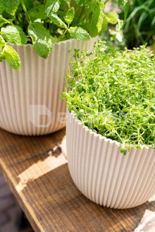 ქოთანი ყვავილის Capi Europe Planter Ball Groove sawdust 21,5x20სმ