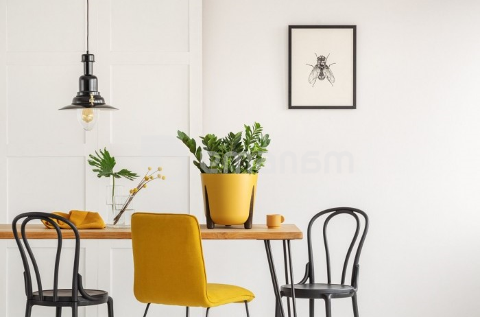 ქოთანი ყვავილის Lamela FRIDA 260 ყვითელი