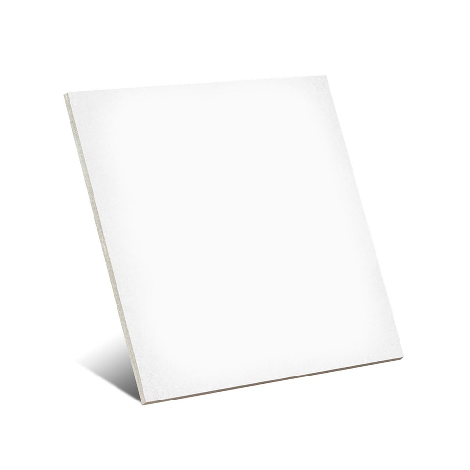 მეტლახი 1900 Blanco Sec. 20x20