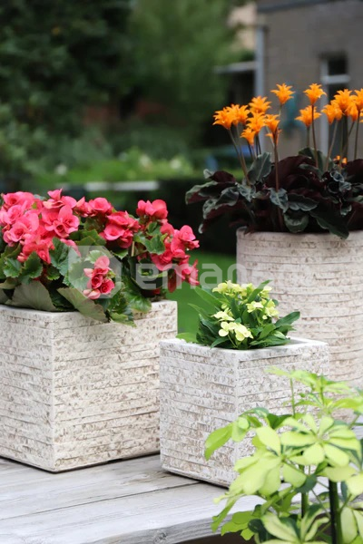 ქოთანი კერამიკული Mega Collections Utah Cubi Desert 35x32სმ 39ლ