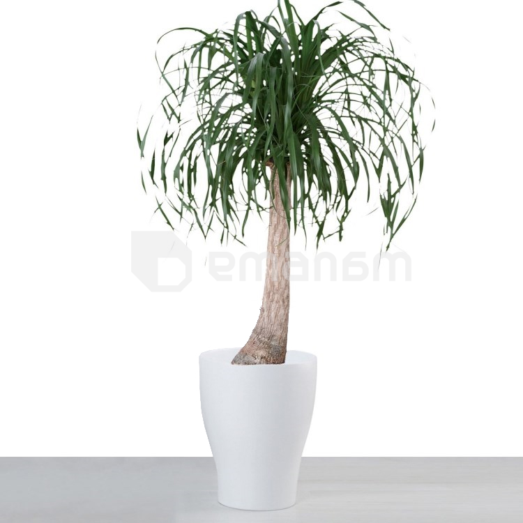 ქოთანი კერამიკული ყვავილის Scheurich 608/40 PLANTER PANNA