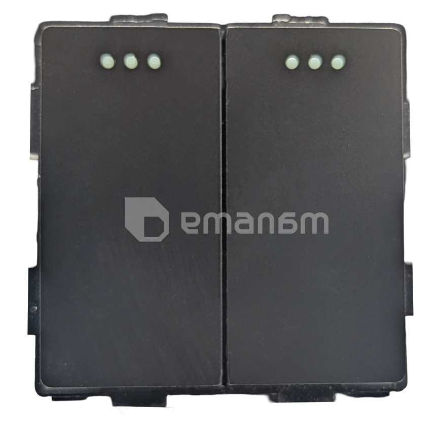 ჩამრთველი Socket Style 2 მექანიკური ორიანი 2G-2W შავი