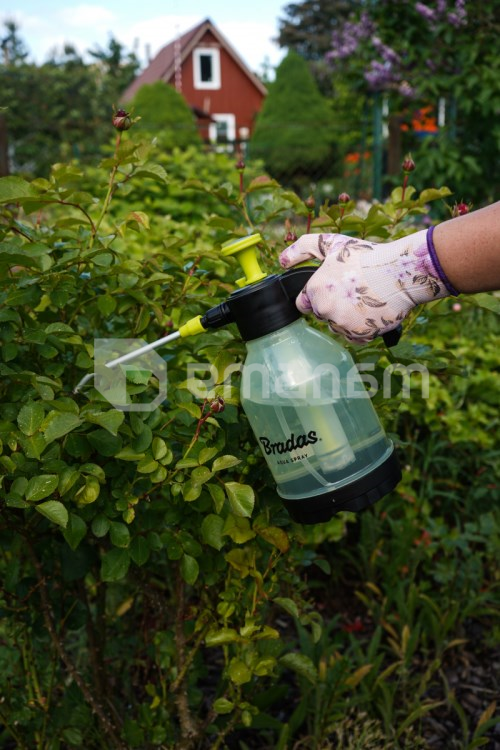 სასხურებელი პნევმატური, ხელის Bradas Aqua Spray Clear AS0150CL 1.5 ლ