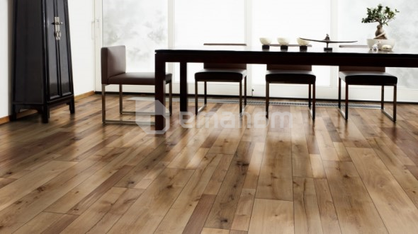 ლამინატი Kaindl NT მუხა Farco Elegance 1383x193x8 AC4/32