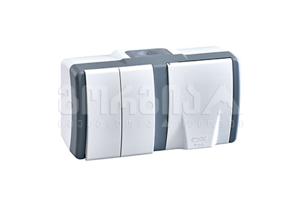 ჩამრთველი ორიანი+როზეტი დამიწებით გარე IP54 OCTANS