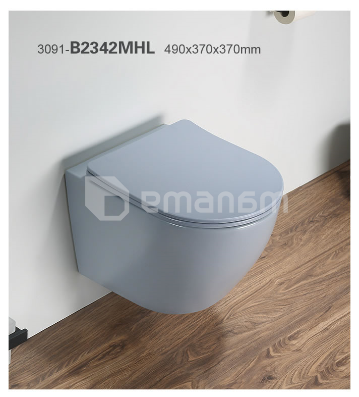 დასაკიდი უნიტაზი Pate B2342MHL Rimless Matt Dusty ლურჯი