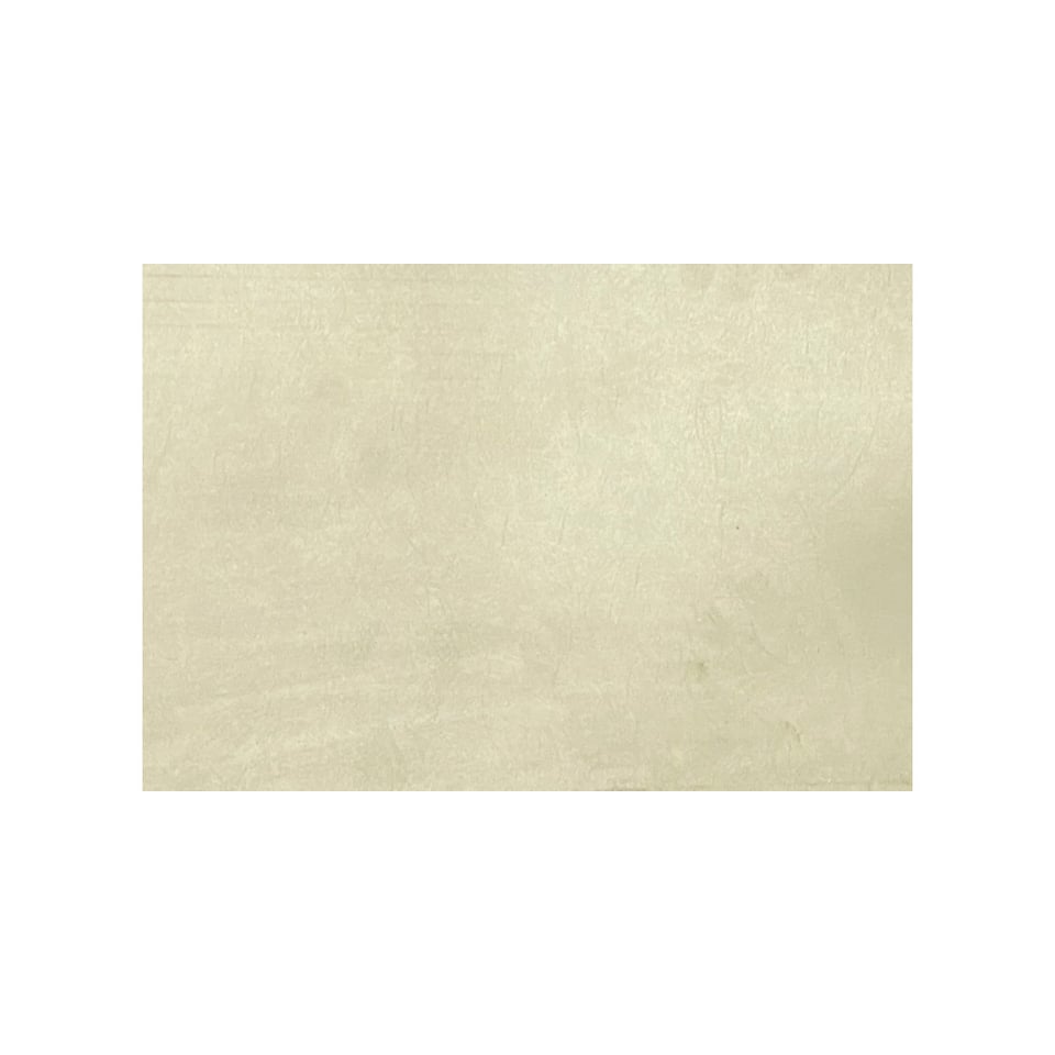 EuroPlast შეკიდული ჭერი 250*3000*7mm FX09-11